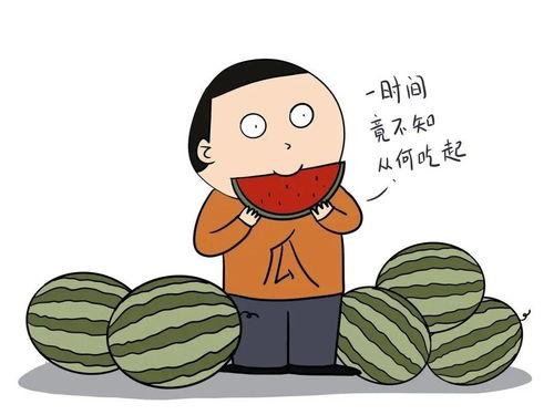 吃瓜爆料预言怎么写的,揭秘娱乐圈背后的神秘力量